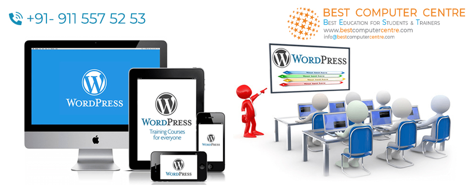 Best Wordpress Training Institute in Amritsar