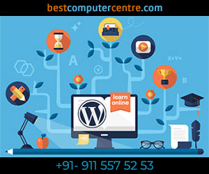 complete wordpress online training from scratch to expert advanced level in amritsar